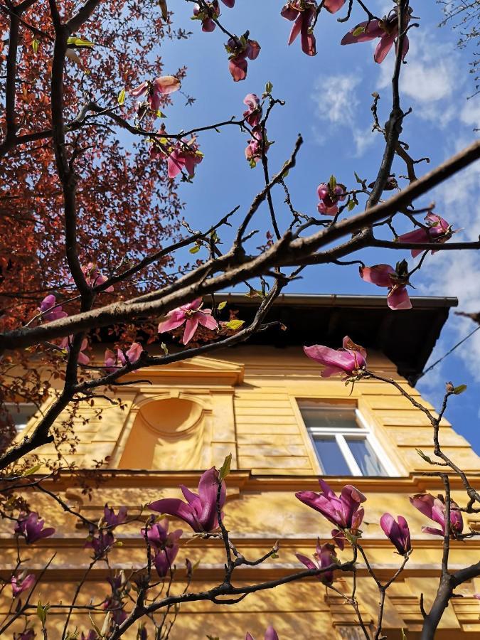 Vila Veselova, Ljubljana City Center Albergue Exterior foto